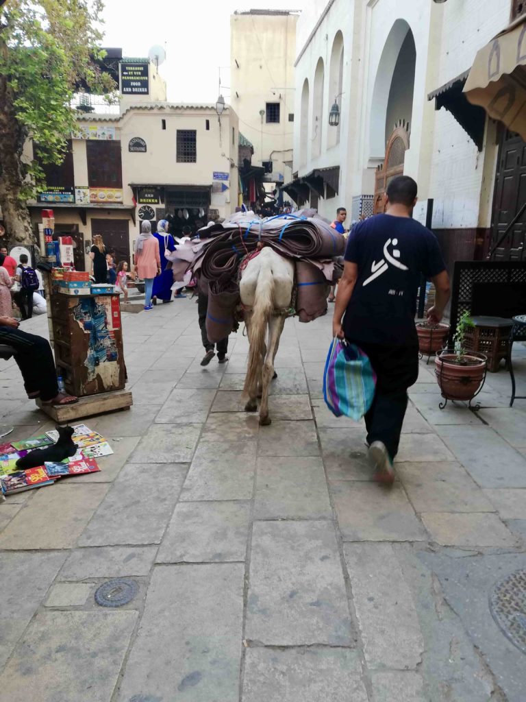 medina di fes