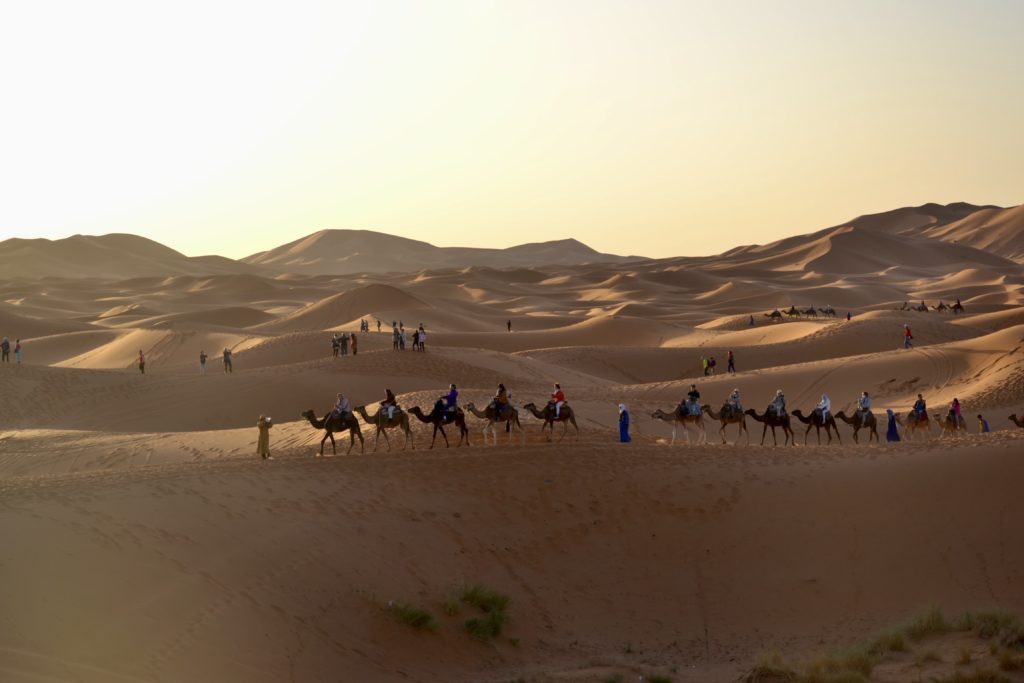 carovana cammelli deserto marrakech