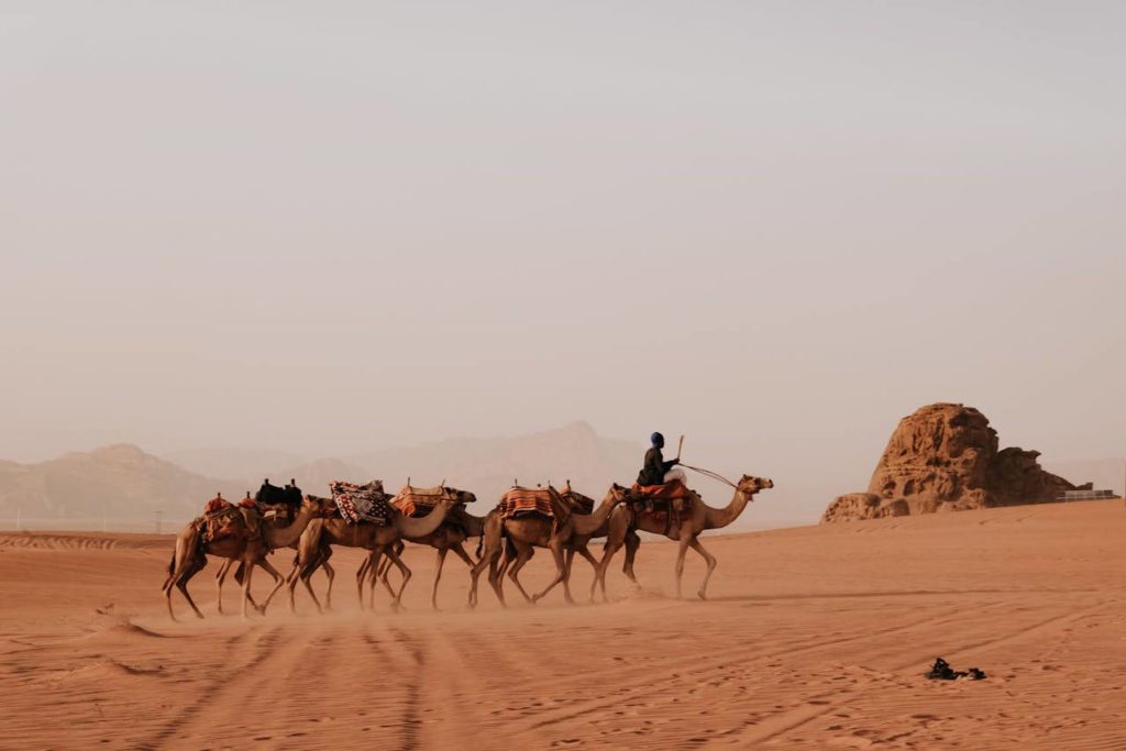 deserto wadi rum