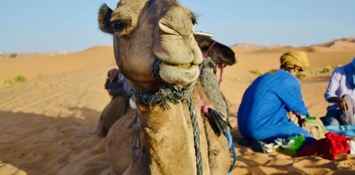 escursione nel deserto da marrakech