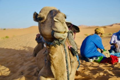 escursione nel deserto da marrakech