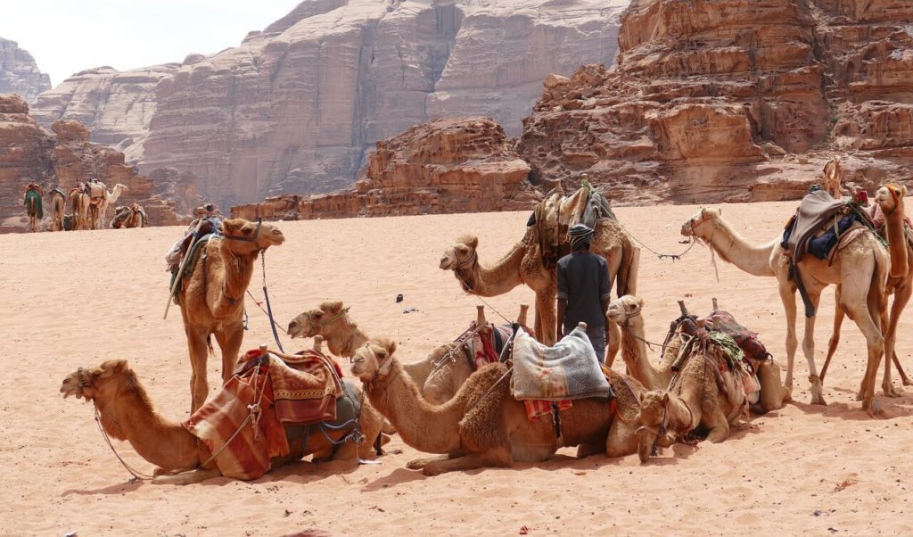 wadi rum guida