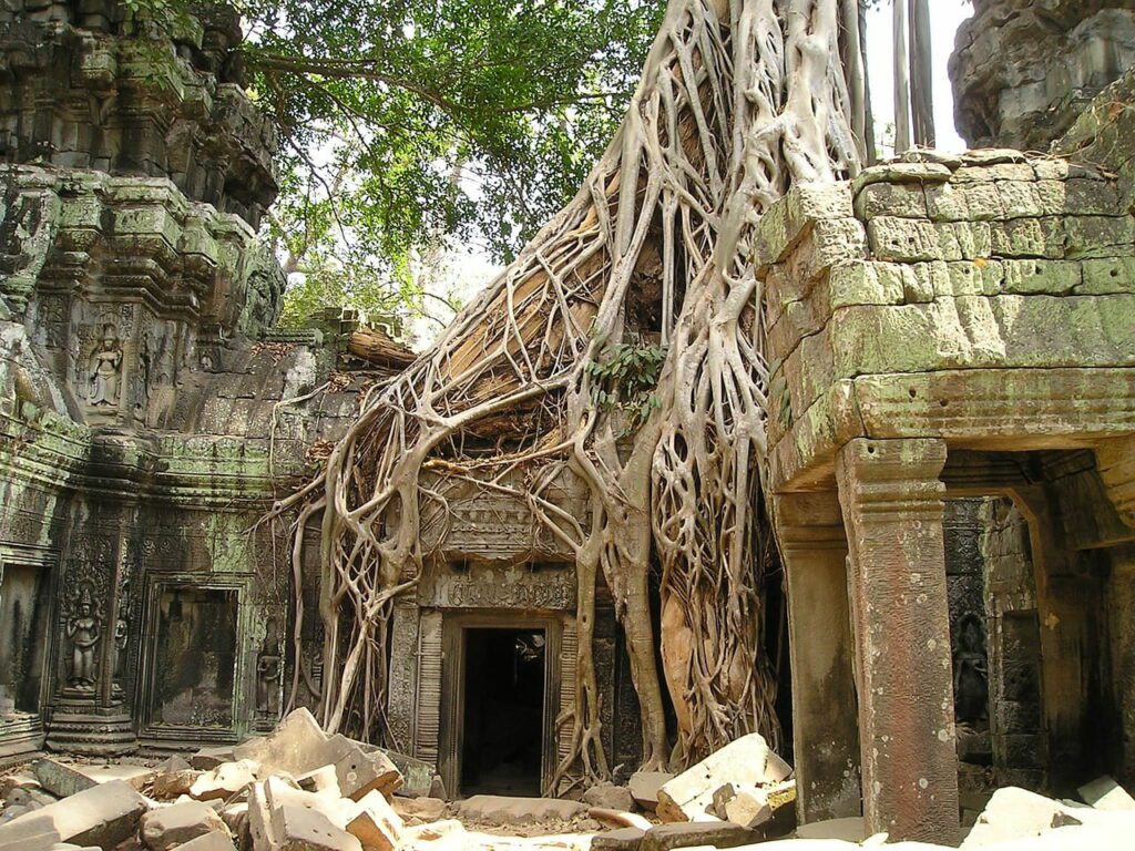 angkor temples tha prohm