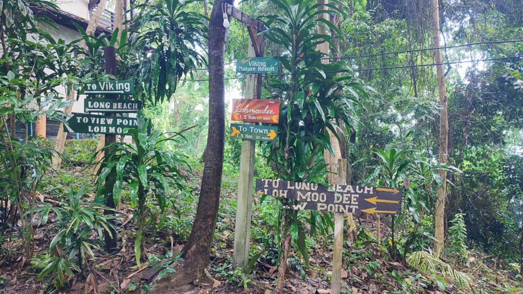 phi phi islands trekking